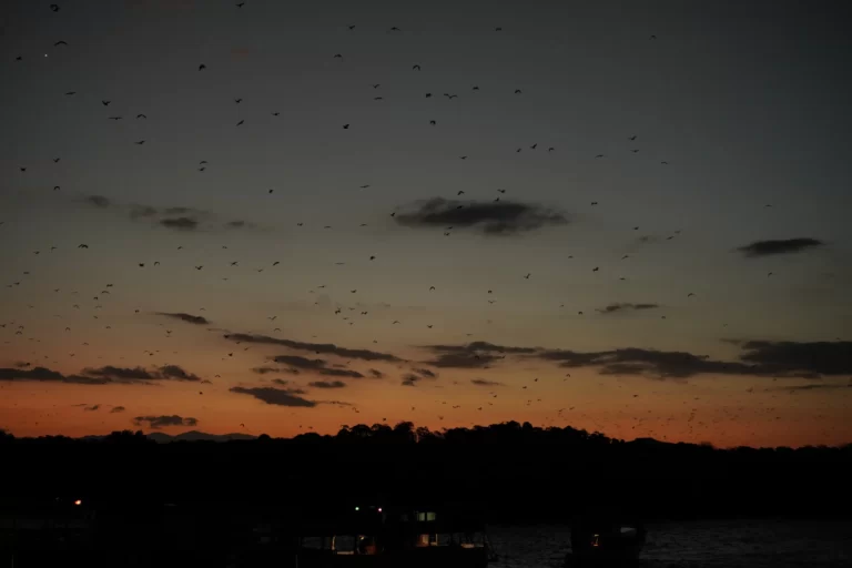 Captivating Sunsets on Kalong Island