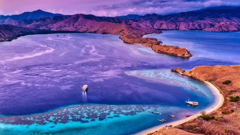 Immersive Cultural Experience in Komodo